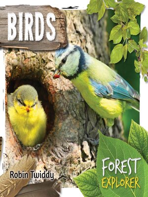 cover image of Birds